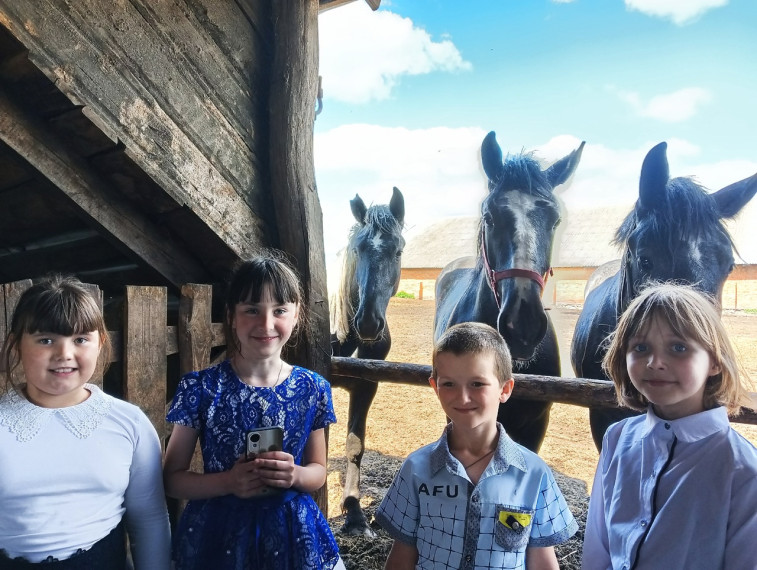Экскурсия на конезавод.